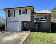 2928 Berney Station Road, Talladega image