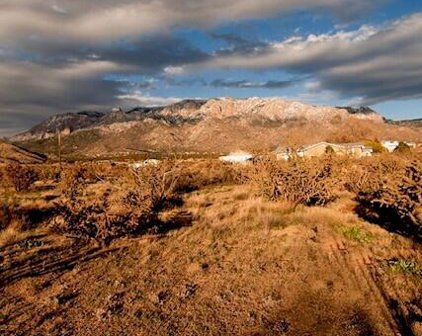 Elena Drive NE, Albuquerque