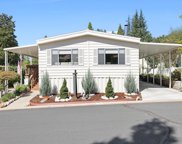 340  Tom Bell Road, Murphys image