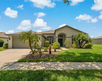 6315 Bridgevista Drive, Lithia