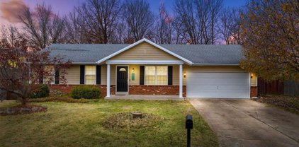 804 N Valleywind  Court, O'Fallon