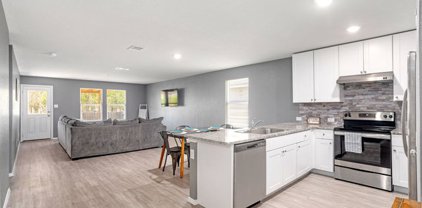 2642 Pechora Pipit, New Braunfels