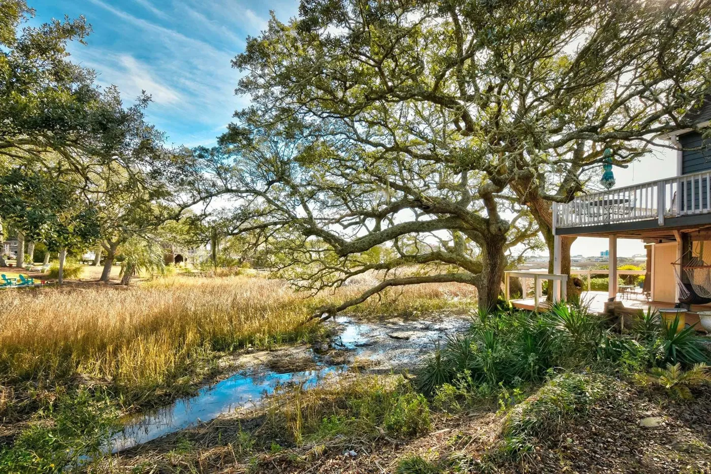 Little River Marsh Area