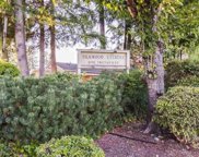 3075 Trethewey Street Unit 28, Abbotsford image