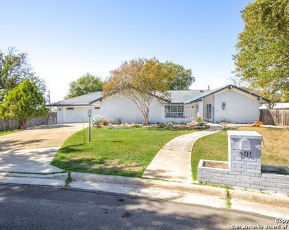501 Moorside Dr, San Antonio