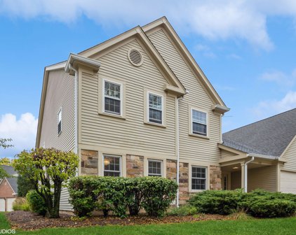 168 Stirling Lane Unit #V1, Schaumburg
