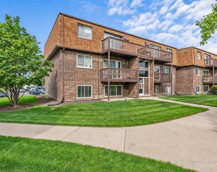 115 Boardwalk Street Unit #1E, Elk Grove Village