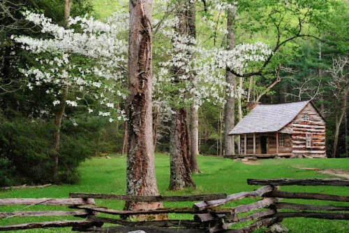 East TN Log Cabins
