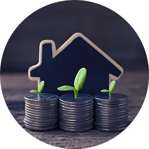 Turnberry Park Market Report