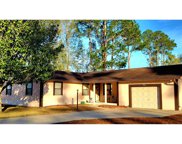 24638 NW 199TH LN, High Springs image