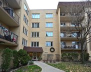 6400 W Belle Plaine Avenue Unit #310, Chicago image
