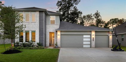 14018 Juniper Point Lane, Conroe