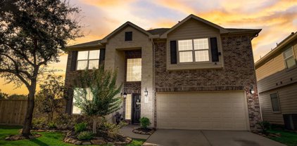 3530 Katy Creek Ranch Drive, Katy