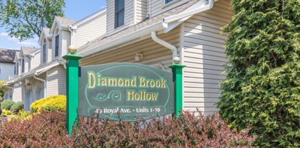 45 Royal Ave, Hawthorne Boro