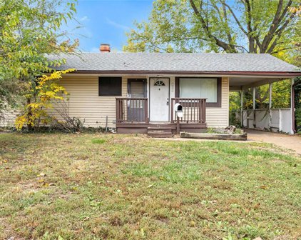 10881 Spring Garden  Drive, St Louis
