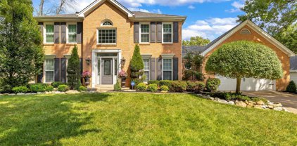 614 Boggan Pointe  Court, Wildwood