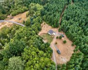 423 PHELPS MOUNTAIN LN, Silverton image