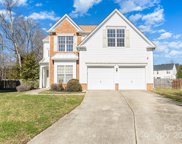 10613 Red Pine  Court, Charlotte image