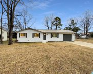 3025 Forest Drive, Fultondale image
