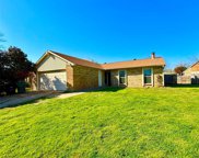 4209 Silverberry  Avenue, Fort Worth image