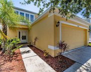 7902 Carriage Pointe Drive, Gibsonton image