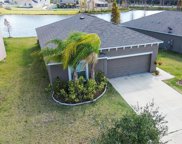 10602 Fuzzy Cattail Street, Riverview image