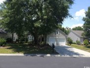 99 Wickham Ct., Pawleys Island image