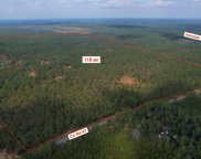 County Road 87 Unit Ph 2, 118 ac, Robertsdale image
