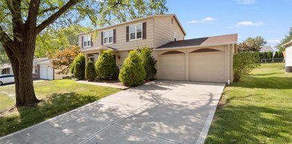 11846 Villa Dorado  Drive, St Louis