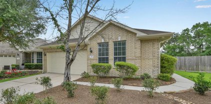 2 Sandingham Way, Conroe