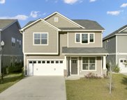 130 Sago Court, Summerville image