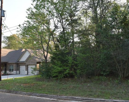 12136 Goliad, Willis