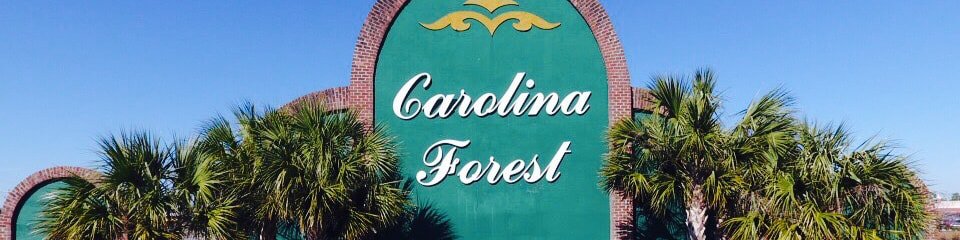 Turning Pines Homes for Sale