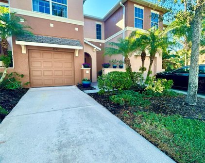 2939 Birchcreek Drive, Wesley Chapel