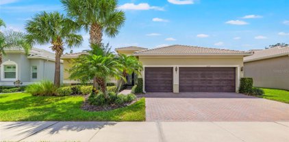 16219 Diamond Bay Drive, Wimauma
