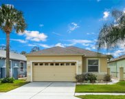 20938 Tangor Road, Land O' Lakes image