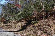 Lot 39 Rich Mountain Way, Sevierville image