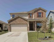 3219 Blue Lobelia, New Braunfels image