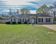 17067 Annawood Lane, Vance image