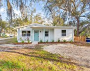 10002 Takomah Trail, Tampa image