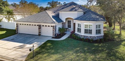 6120 Japonica Court, New Port Richey