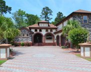 304 Bunny Trail Ct., Myrtle Beach image