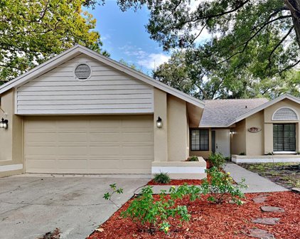 3189 Pine Forest Court, Palm Harbor