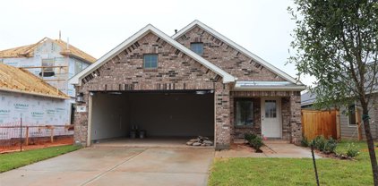 317 Flowering Orchid Lane, Willis