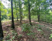 Eagle Nest Ln, Big Sandy image