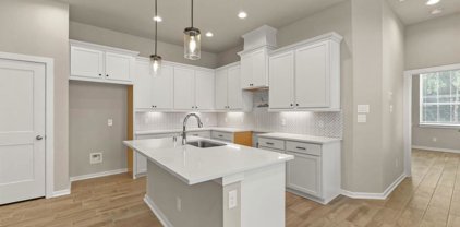 639 Silver Pear Court, Montgomery