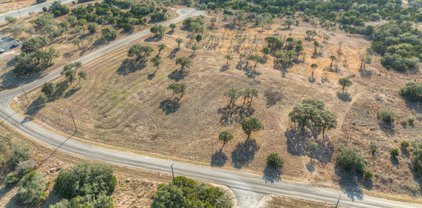 197 Stargrass/Zinnia, Spring Branch