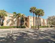 8617 River Homes Lane Unit 3308, Bonita Springs image