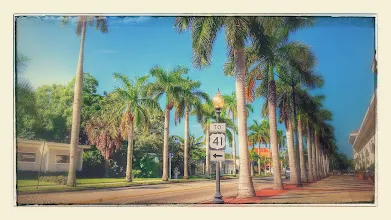 Historic McGregor Homes For Sale Fort Myers Florida