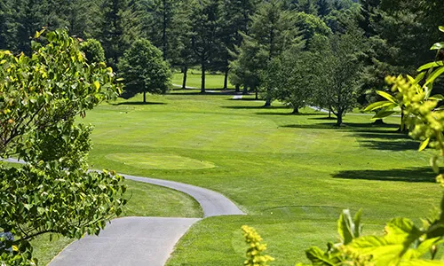 Ballantyne Homes for Sale